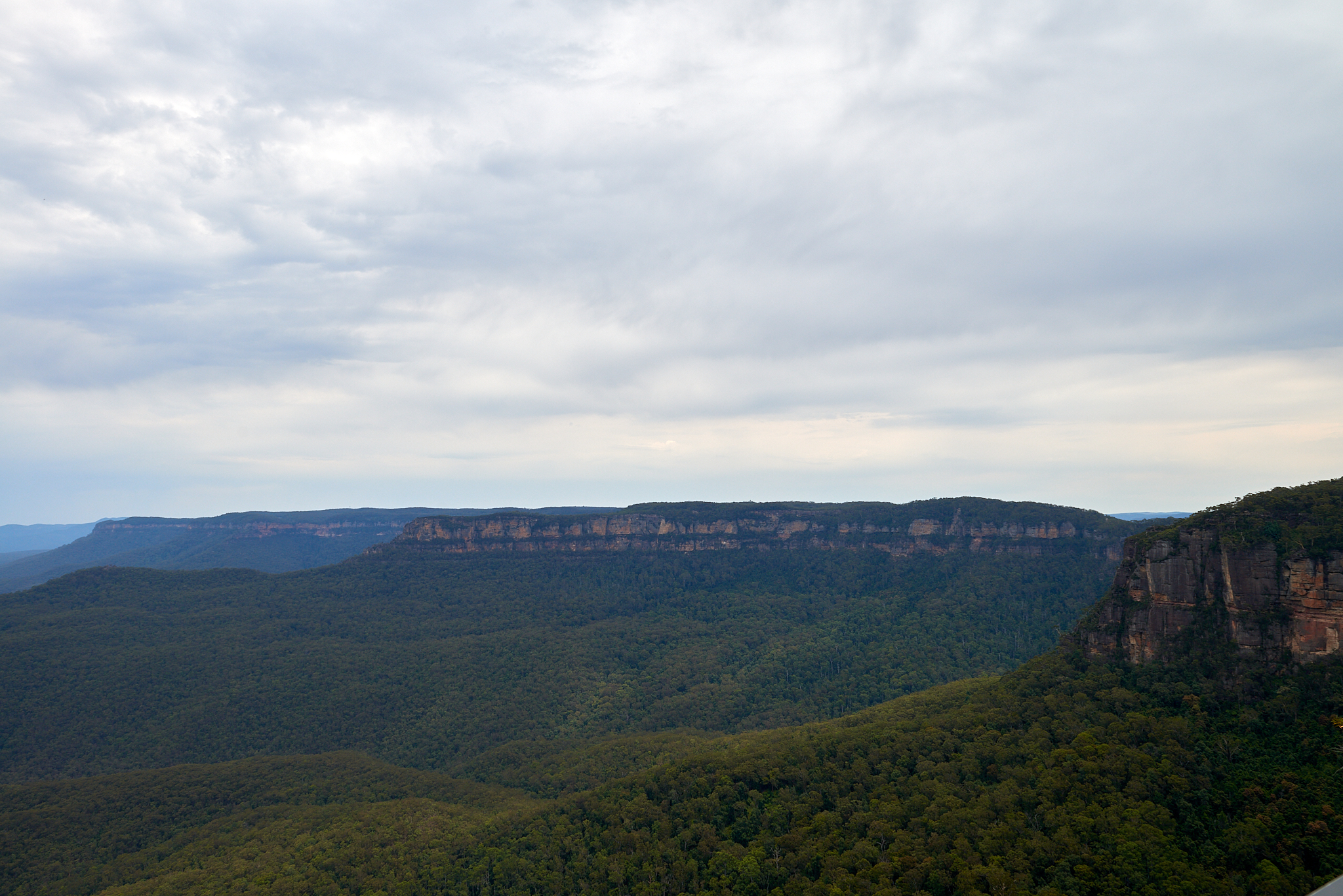 20180123 047 호주 블루마운틴스 국립공원